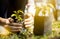 Closeup asian child girl planting a tree in green nature,two hands holding and caring,protect seedlings or tree growing into soil,