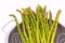 Closeup asparagus in colander isolated
