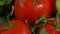 Closeup of assorted vegetables rotating on white background