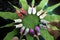 Closeup of athletes wearing sports shoes and standing in circle on green grass. Space for text