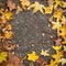 Closeup of autumn fading leaves lying on the ground.Frame for text from bright colored maple and other leaves.Copy space