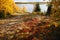 Closeup of autumn of fall tundra foliage with reds and golds