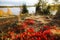 Closeup of autumn of fall tundra foliage with reds and golds