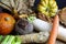 Closeup of autumn root vegetables for healthy nutrition in cold season with pumpkins, red beetroot, radish, horseradish, fennel