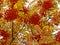 Closeup autumn rowan-berry