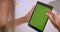 Closeup back portrait of young attractive caucasian woman using tablet with green chroma screen in office indoors
