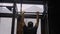 Closeup back view shoot of adult muscular athletic man lifting himself on the bars indoors in the gym