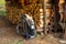 Closeup  Backpack  at the forest cabin ready for hiking