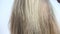 Closeup of backside of head with long hair being combed