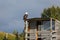 Closeup Bald eagle rests on corner of cabin