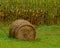 Closeup of a bale of hay on a farm in Minnesota