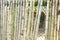Closeup bamboo vertical background