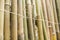 Closeup of bamboo wall cladding tied together with nylon wire to form an outdoor fence