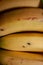 Closeup of bananas in dark room