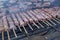 Closeup of barbecues on sticks on a grill under the sunlight