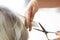 Closeup barber with Scissors cutting hair