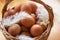 Closeup, of a basket with organic chicken eggs and feathers. Defo