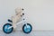 Closeup bear doll ride a bicycle for kid on white cement wall textured background with copy space