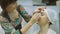 Closeup of beautician hands using tweezers on woman`s eyebrow at beauty salon