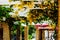 Closeup on a beautiful arbor covered with climbing plants with c