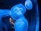 Closeup of Beautiful Blue Moon Jellyfish (Aurelia aurita)