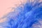 Closeup of beautiful blue ostrich feather on pink background