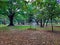 Closeup of beautiful Cubbon Park landscape view with old and new trees distribute water though sprinkling irrigation