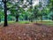 Closeup of beautiful Cubbon Park landscape view with old and new trees distribute water though sprinkling irrigation