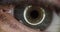 Closeup of beautiful gray green female eye 4k movie