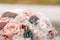 Closeup of beautiful pink rose bouquet held by a gracious bride