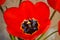 Closeup of a beautiful red tulip flower core. Blooming blossoming tulip. Detailed pistil, stamens, petals. Springtime. Macro photo