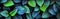 Closeup beautiful tree leaf in dark green.exotic fancy nature background.Horizontal banner