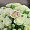 Closeup of a beautiful wedding bouquet with ribbon for bride close rings. White background.