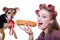 Closeup on beautiful young pinup woman in curlers eating a hot dog on a white background, dog looking at the camera