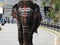 Closeup of beautifully decorated real Elephant at famous Shiva Temple Male Mahadeshwara Hill