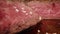 Closeup Of Beef Steaks Being Sprinkled With Coarse-Grained Salt