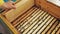 Closeup of beekeeper examining ang cleaning wooden frames in beehive in apiary