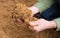 Closeup of beer bagasse in female hands