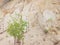 Closeup of beige aged shabby cliff cracks. Light colour stone rock texture of mountains. Concept of geology and