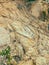 Closeup of beige aged shabby cliff cracks. Light colour stone rock texture of mountains. Concept of geology and