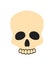 Closeup of Beige Skull on Vector Illustration