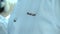 Closeup Belaya Dacha logo on trainer white sterile coat
