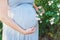 Closeup of belly of young pregnant model standing in park with roses. future mom expecting child