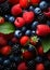 Closeup of berries with green leaves and blue and red berries zo