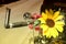 Closeup of bicycle handlebar with sunflower