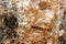 Closeup big honey-colored quartz druse