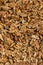Closeup of big shelled walnuts pile. Selective focus