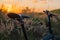 Closeup Bike in countryside sunset background