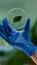 Closeup of biologist scientist holding in hands petri dish with green leaf