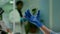 Closeup of biologist woman hands holding medical sample of green leaf